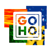 Das GOHO Logo braucht einen Neuanstrich!